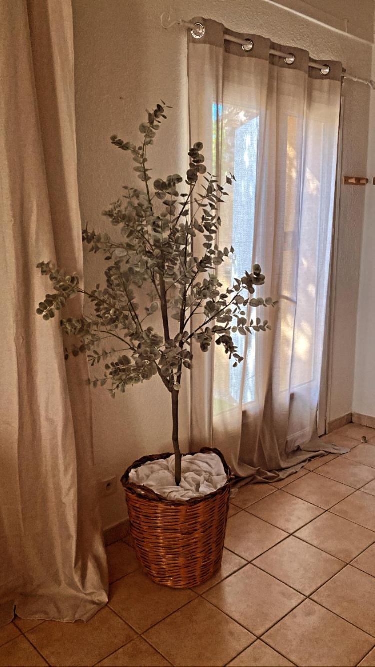 Apartamento Le Mas Du Bosc Mauguio Exterior foto